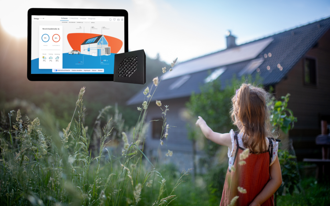 Was ist ein HEMS? Das Herzstück des smarten Energiesystems einfach erklärt